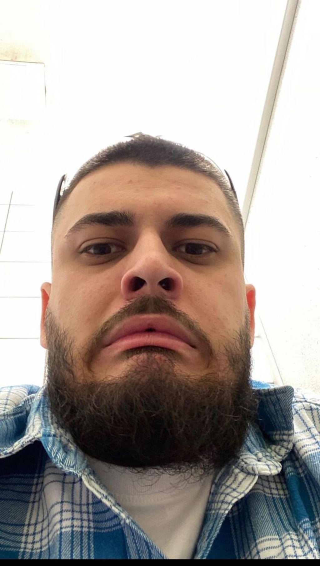 2 Schweine 1 Apfel