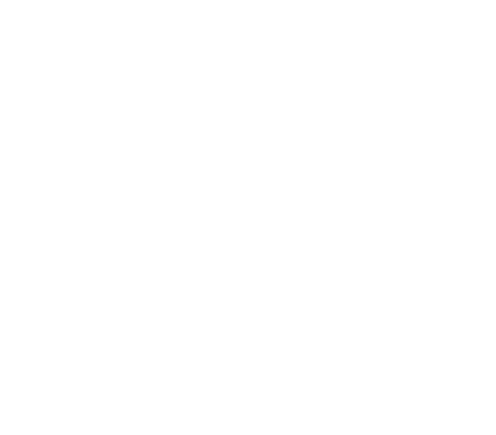 Phironix eSport | Karlsruher SC
