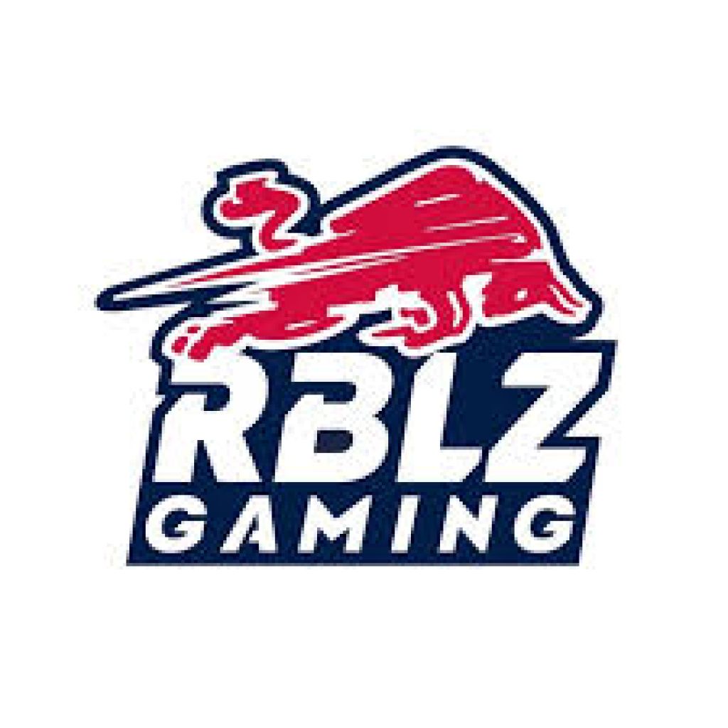Profilbild von RBLZ Gaming International