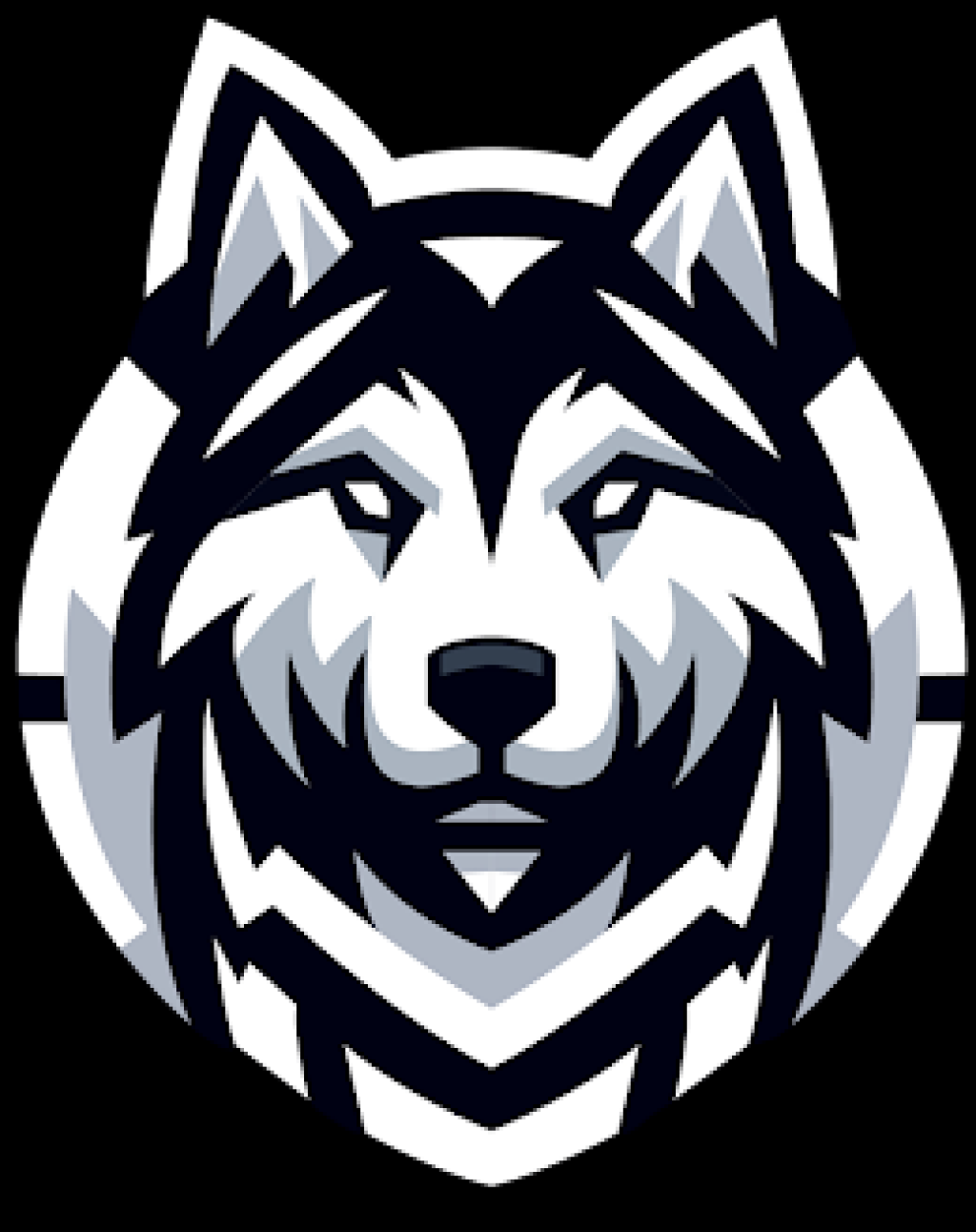 Wappen vom Team Huskies eSport Jülich e.V.