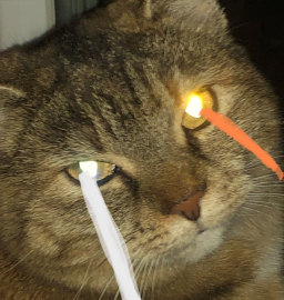 Profilbild von Lucker