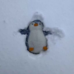 Profilbild von R0CKET_M0NSTER