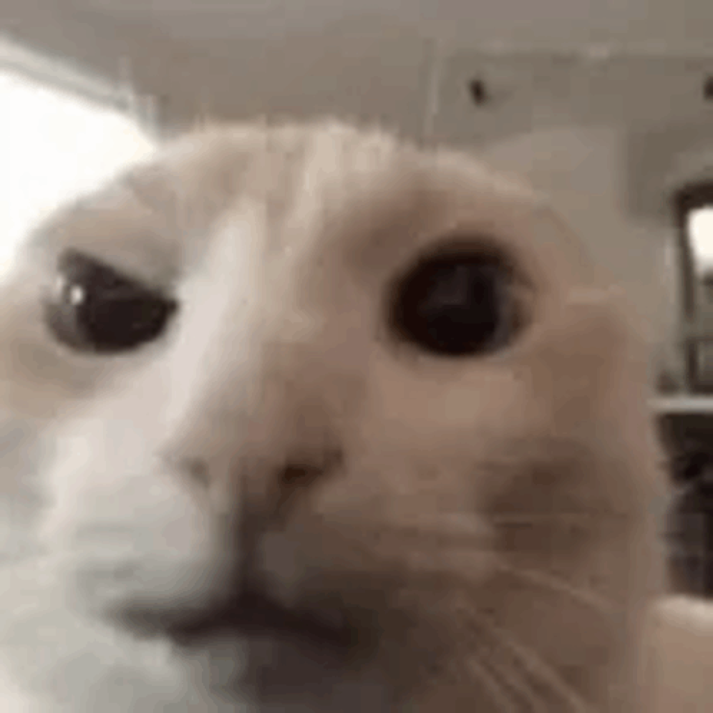 Profilbild von fakeflip