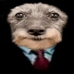 Profilbild von Souly.rll