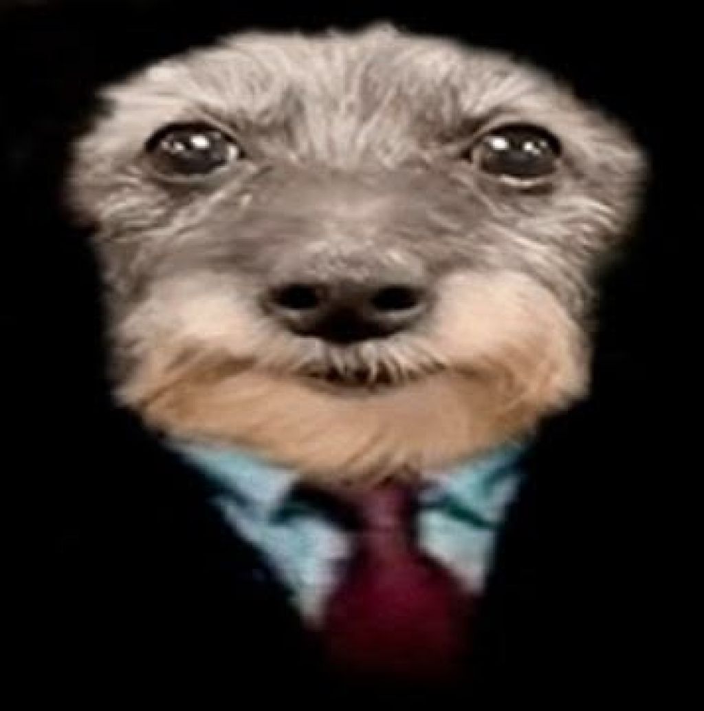Profilbild von Souly.rll