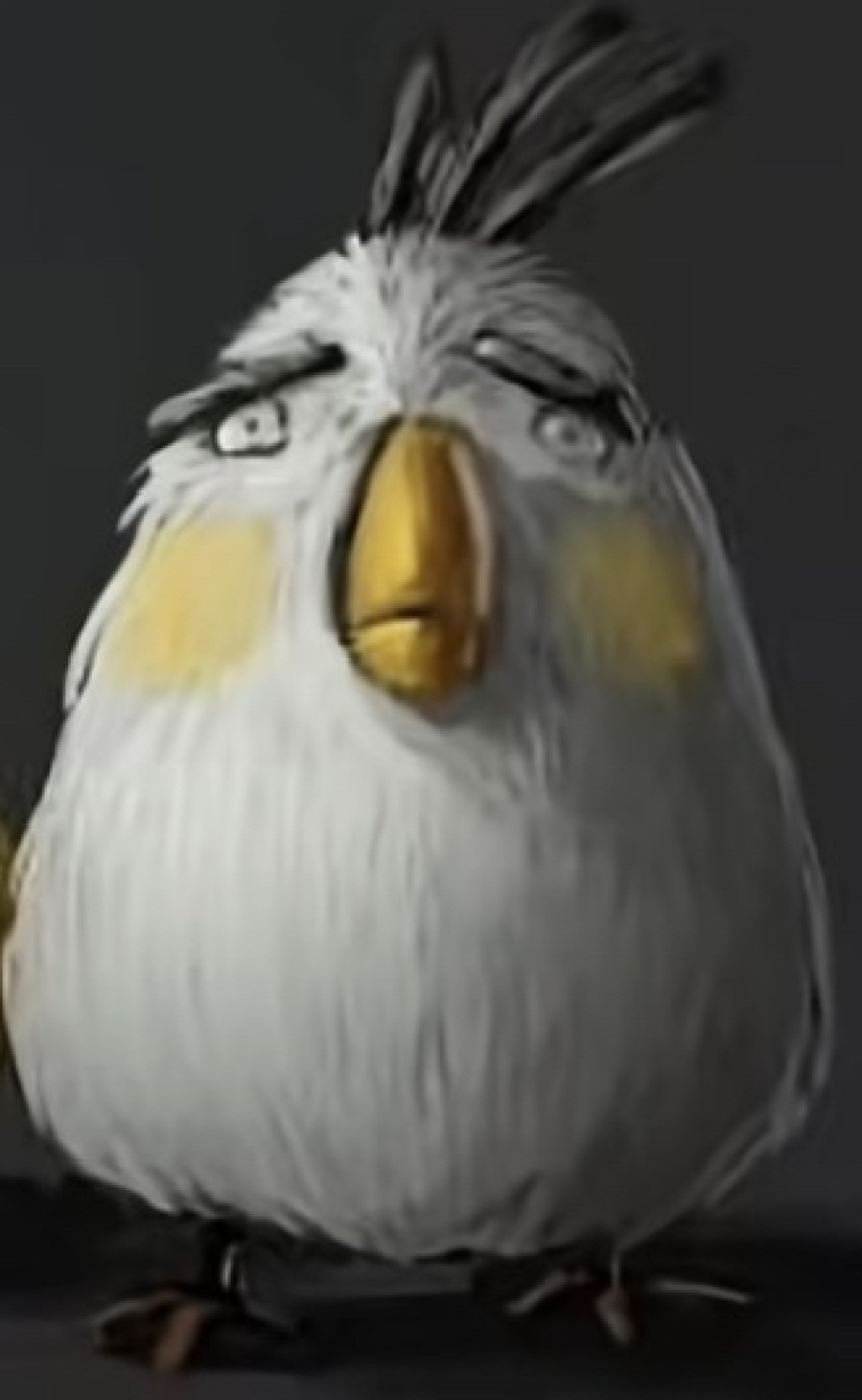 Profilbild von jirka