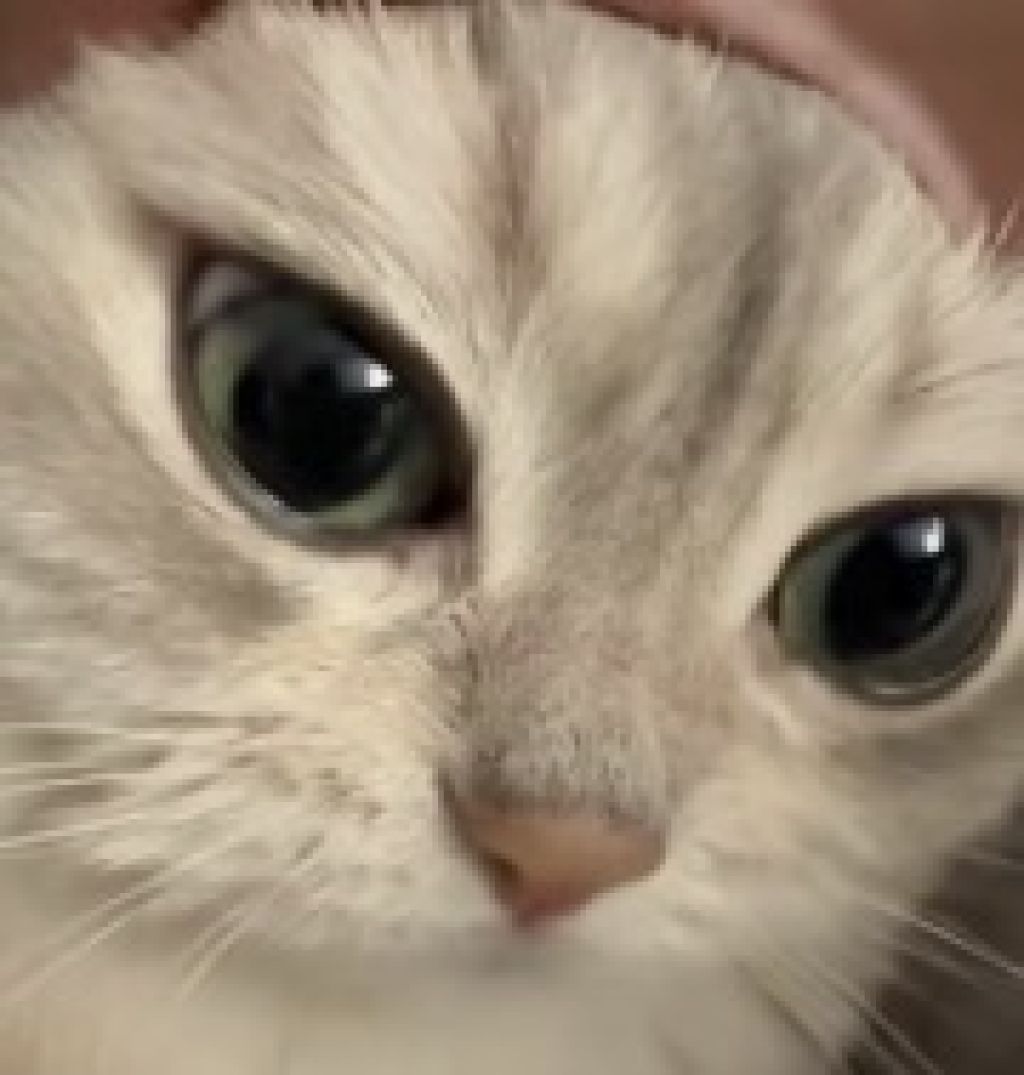 Profilbild von xMieRRu