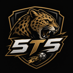5T5