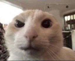 Profilbild von AzsToxin