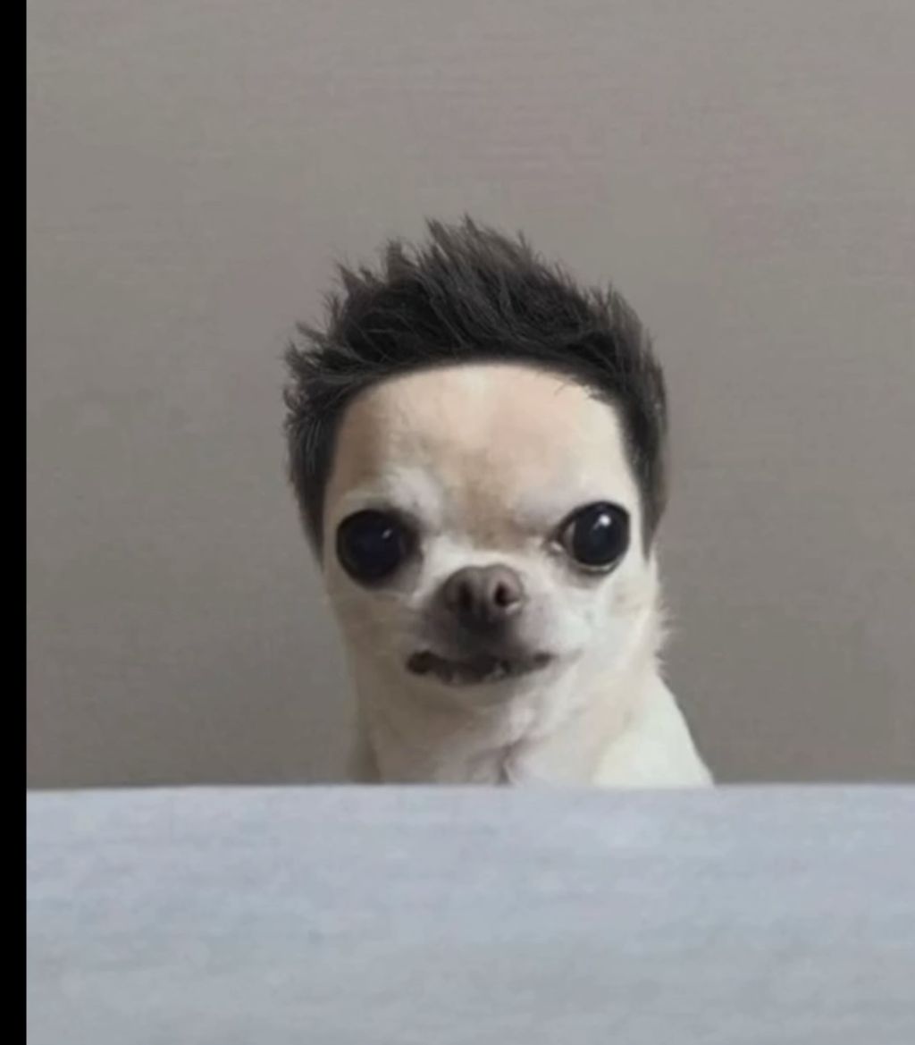 Profilbild von Keule404