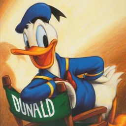 Profilbild von Paul230511