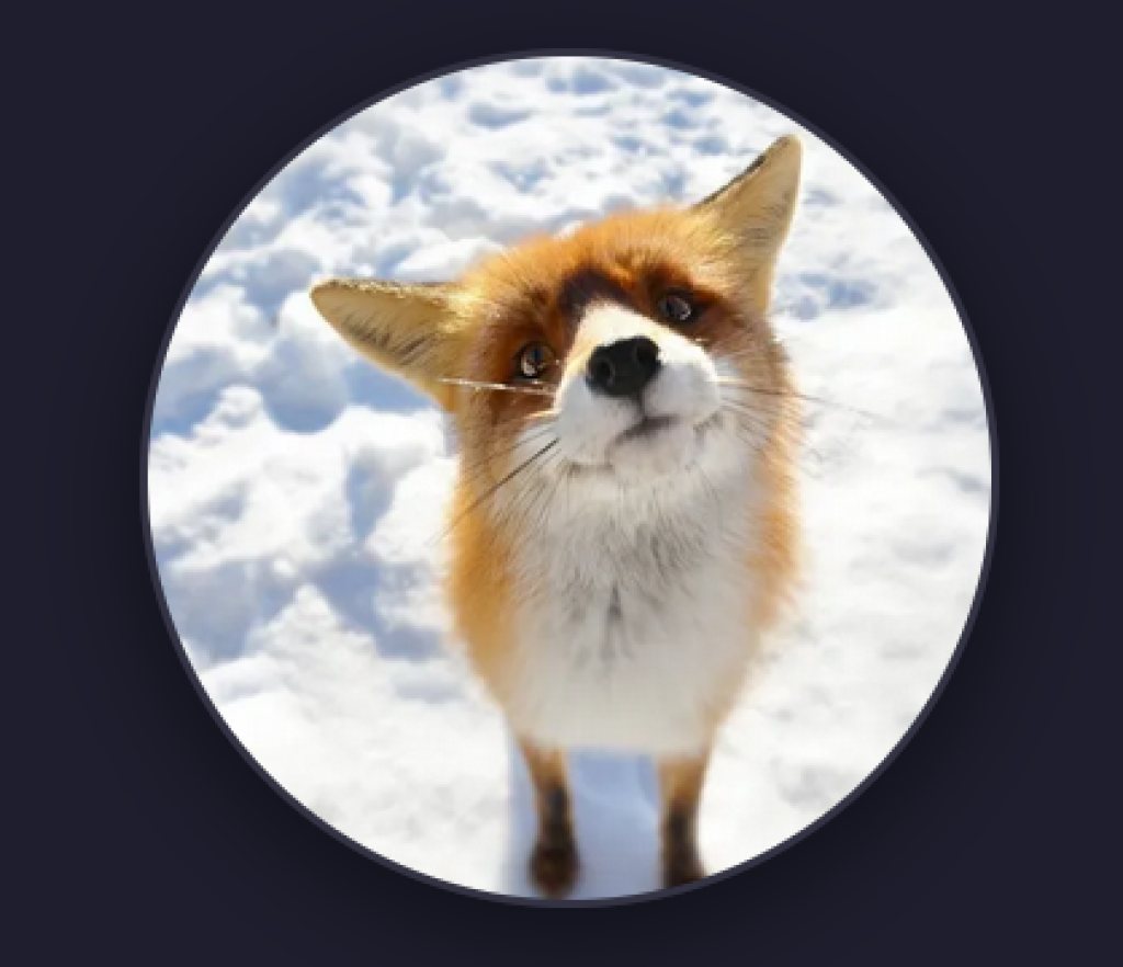 Profilbild von Red_Fox_Miro