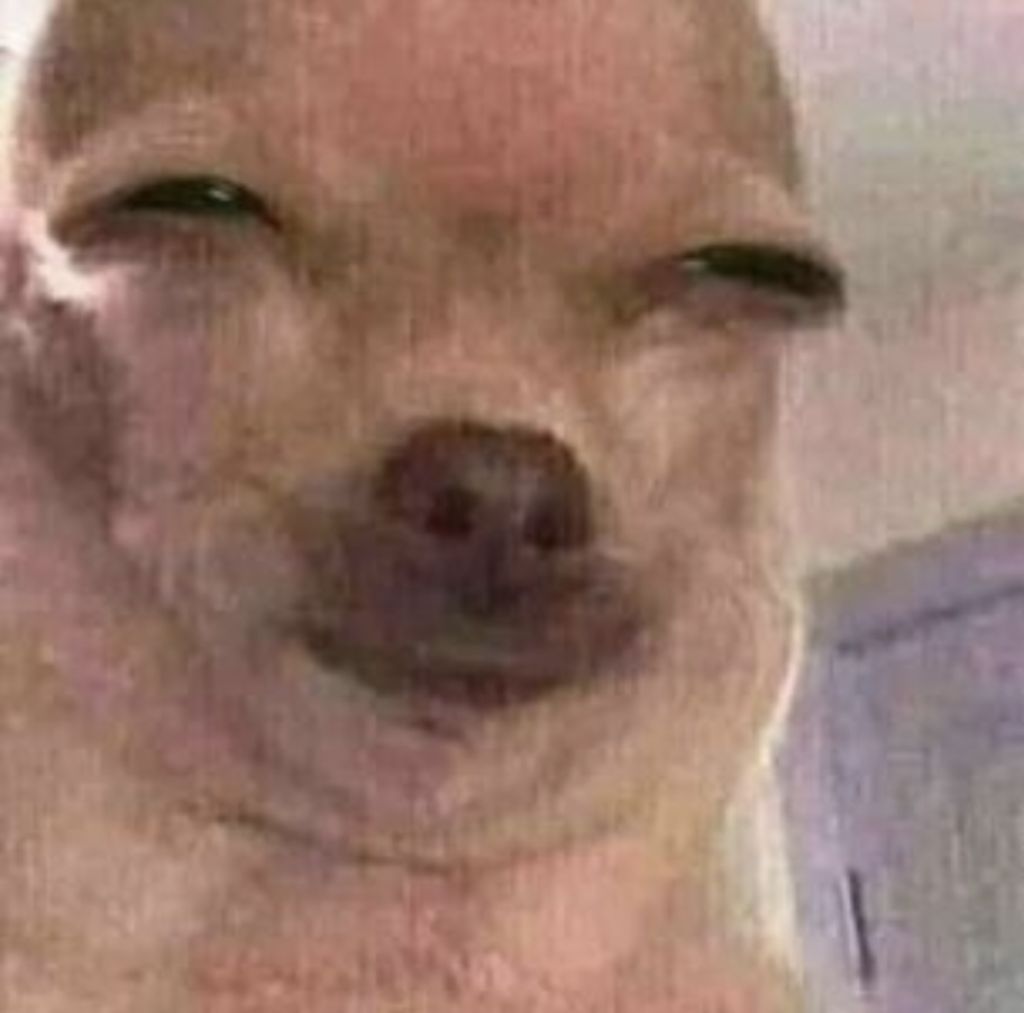 Profilbild von fakeDenzz.
