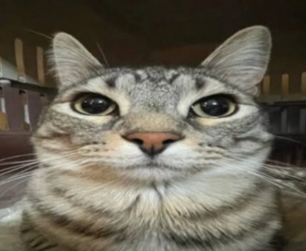 Profilbild von Manolo