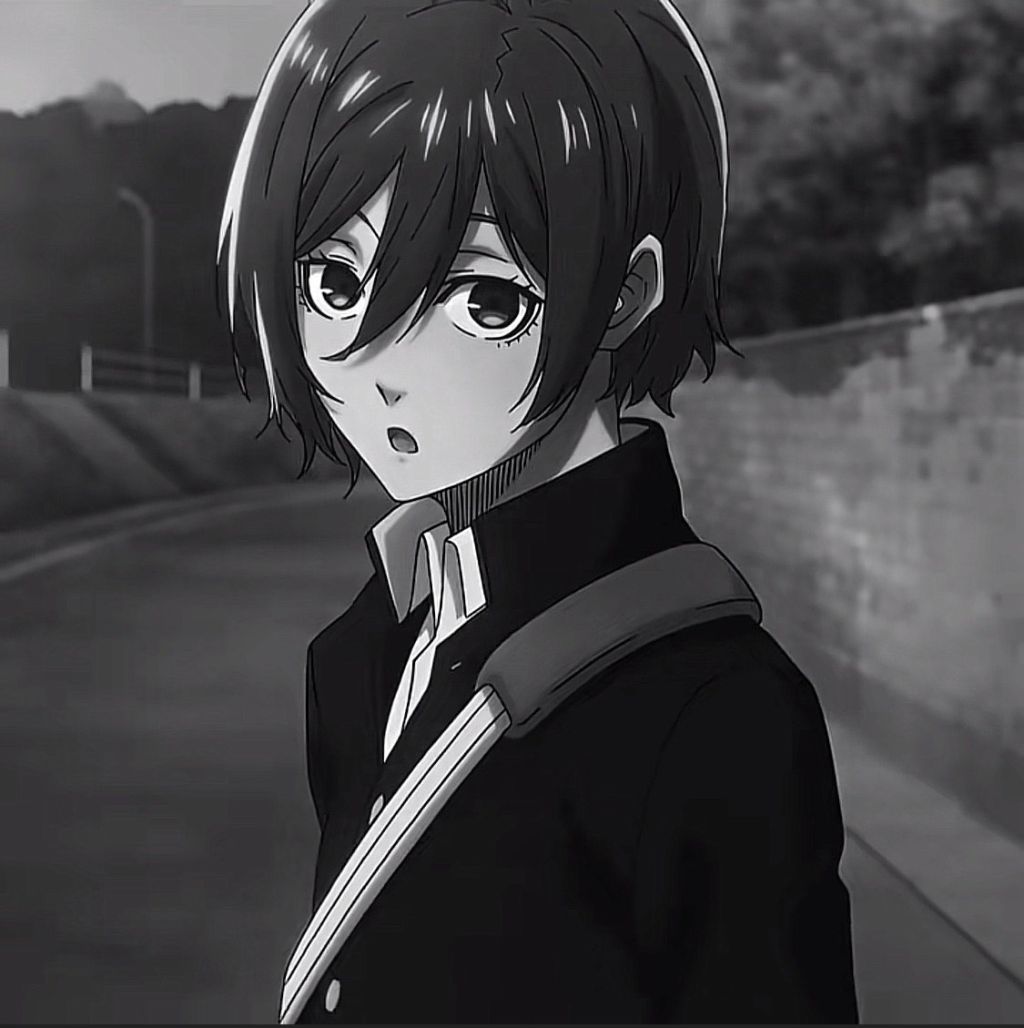 Profilbild von rexol.