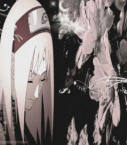 Profilbild von Akuza