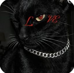 Profilbild von Razaaa