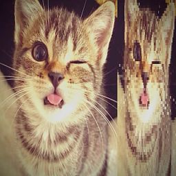 Profilbild von qeow