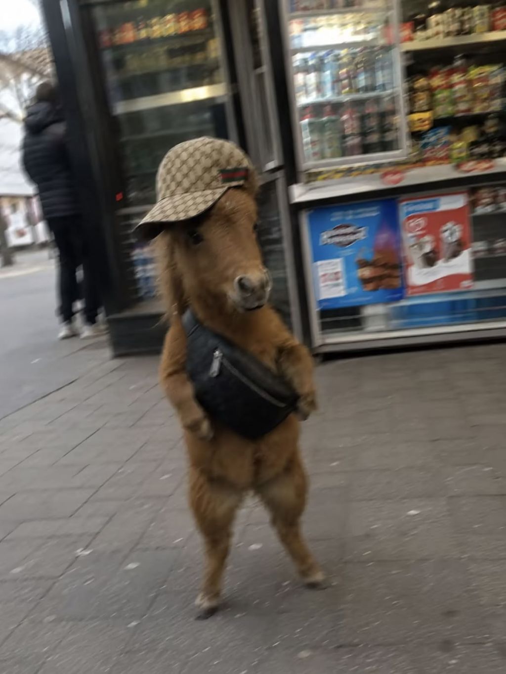 Profilbild von Seiz
