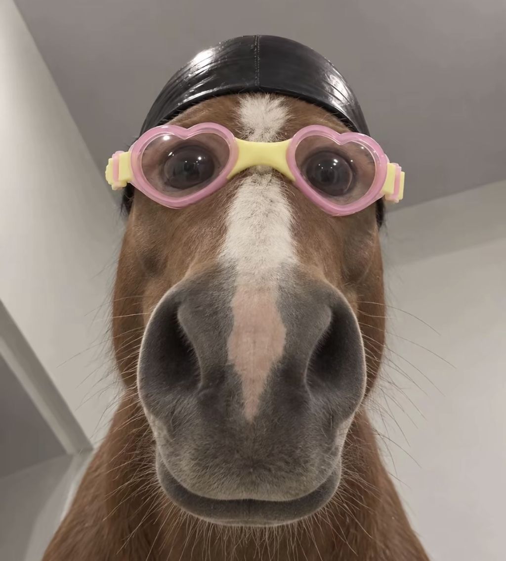 Profilbild von EmPiOXx