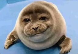 Profilbild von LakesRll