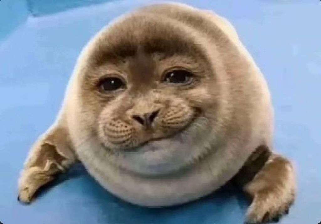 Profilbild von LakesRll