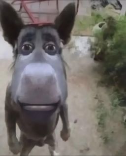 Profilbild von crodakz