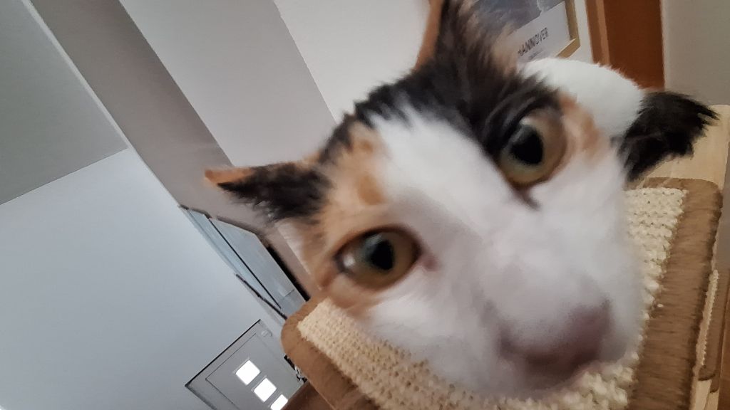 Profilbild von VATU