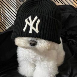 Profilbild von dobsn
