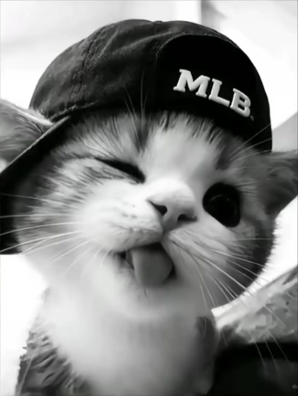 Profilbild von RypzRl