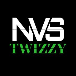 Wappen vom Team NVS Twizzy
