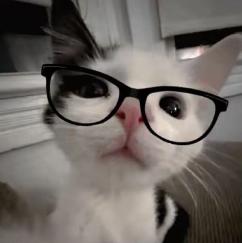 Profilbild von Smoky