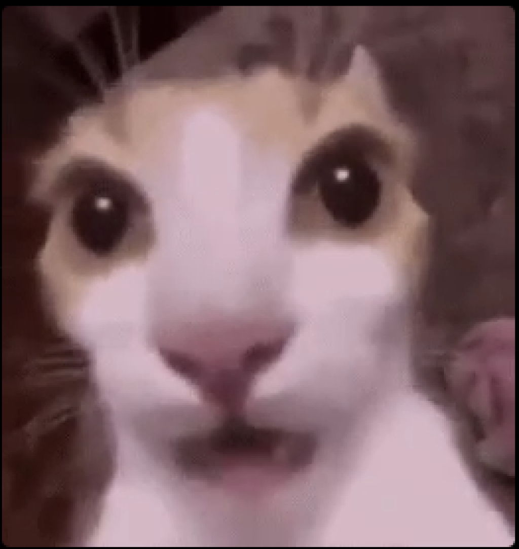 Profilbild von Axnu