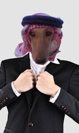 Profilbild von RianLmpdRw9salempata