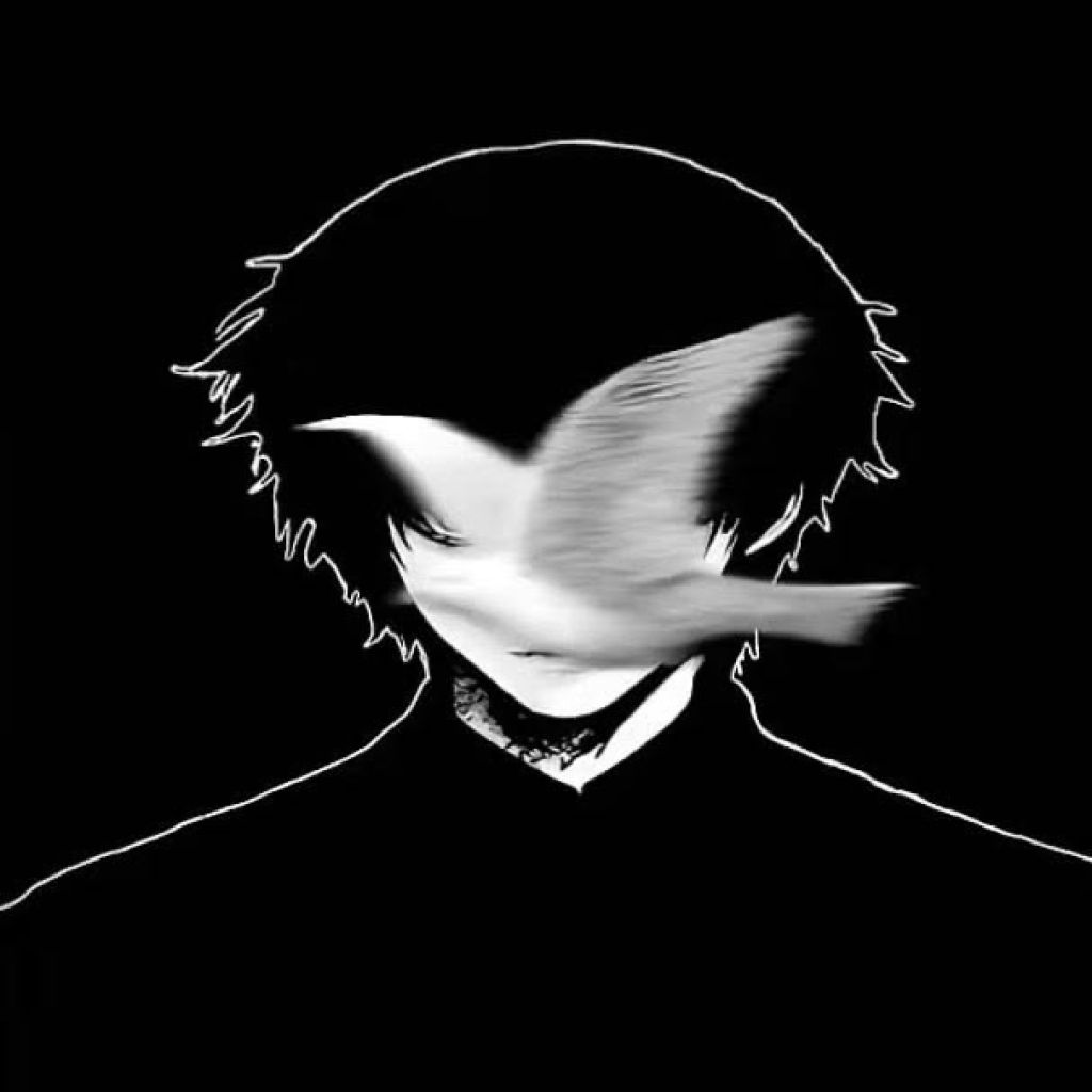 Profilbild von aidinjo