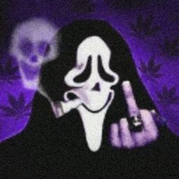 Profilbild von stimmts