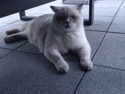 Profilbild von CT2709
